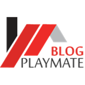 Playmate Blog - Cipherhex Technology